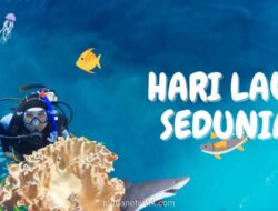 PBB Peringati Hari Laut Sedunia 2026, Serukan Aksi Global Atasi Polusi dan Penangkapan Ikan Berlebihan