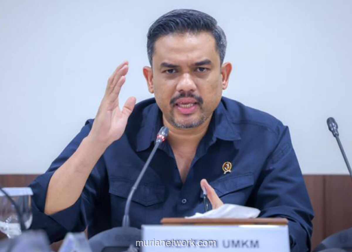 Menteri UMKM Sebut Pemadaman Listrik di Jawa Ganggu Produktivitas Pedagang Kecil dan Rakyat