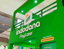 Aset Indodana Tembus Rp2,83 Triliun, Pembiayaan Paylater ke UMKM Tumbuh Pesat