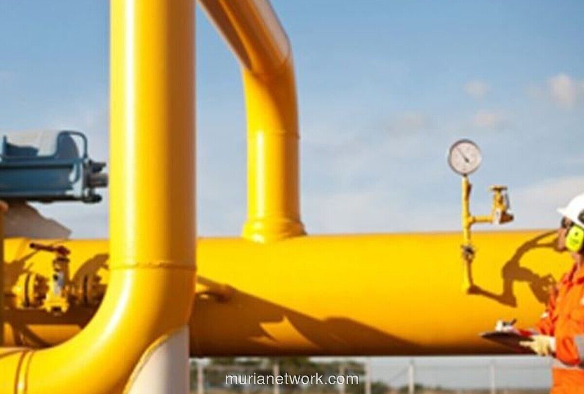 Pemerintah Siap Turunkan Harga Gas Industri untuk Cegah PHK Massal