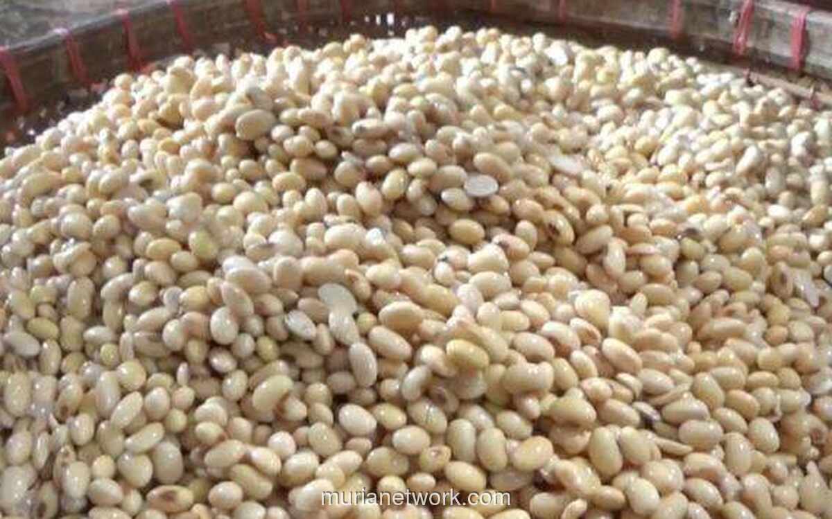 Pemerintah Siapkan Subsidi Rp2 Ribu per Kilogram Kedelai untuk Jaga Harga Tahu dan Tempe