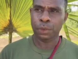 Masyarakat Adat Papua Panen Perdana di Lahan Hak Ulayat, Kini Bisa Nikmati Beras Lokal Lebih Murah