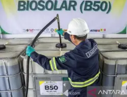 Pemerintah Didorong Tetapkan Harga B50 Kompetitif agar Tak Kalah Saing dengan Solar Konvensional