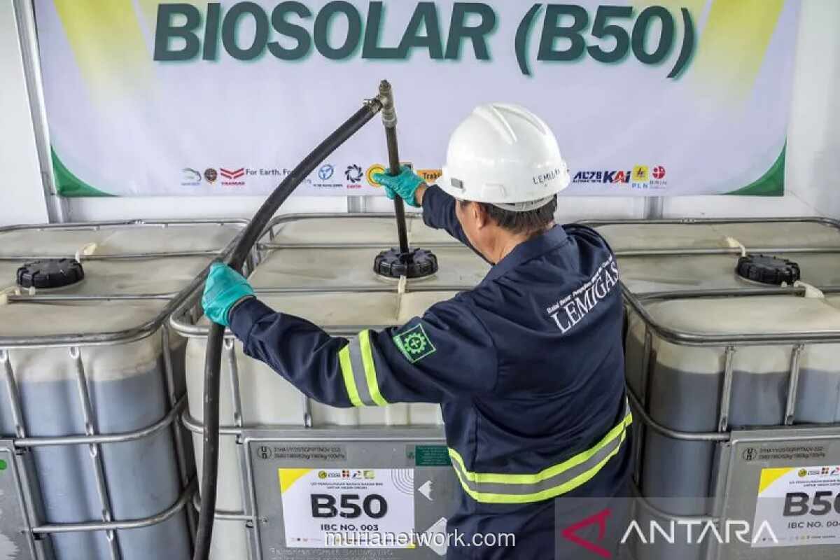 Pemerintah Didorong Tetapkan Harga B50 Kompetitif agar Tak Kalah Saing dengan Solar Konvensional