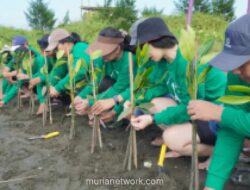 Kapal Api Group Tanam 2.500 Bibit Mangrove di Pesisir Semarang untuk Dukung SDGs