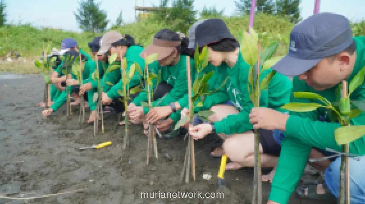 Kapal Api Group Tanam 2.500 Bibit Mangrove di Pesisir Semarang untuk Dukung SDGs