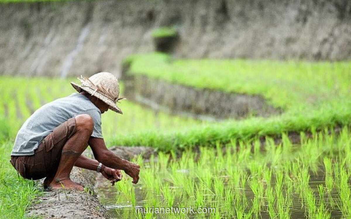 Mendagri dan Menteri ATR Terbitkan Pedoman Baru Lindungi Lahan Pertanian demi Swasembada Pangan