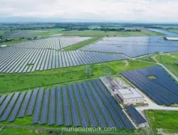 Pertamina NRE Raup Dividen Setelah Akuisisi 20% Saham Perusahaan Energi Filipina