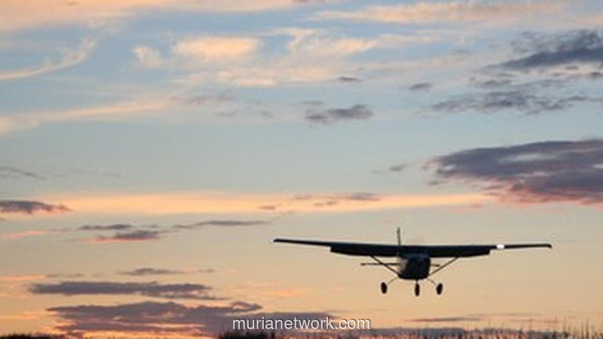 Pesawat Angkut Militer India Antonov An-32 Jatuh saat Mendarat di Assam