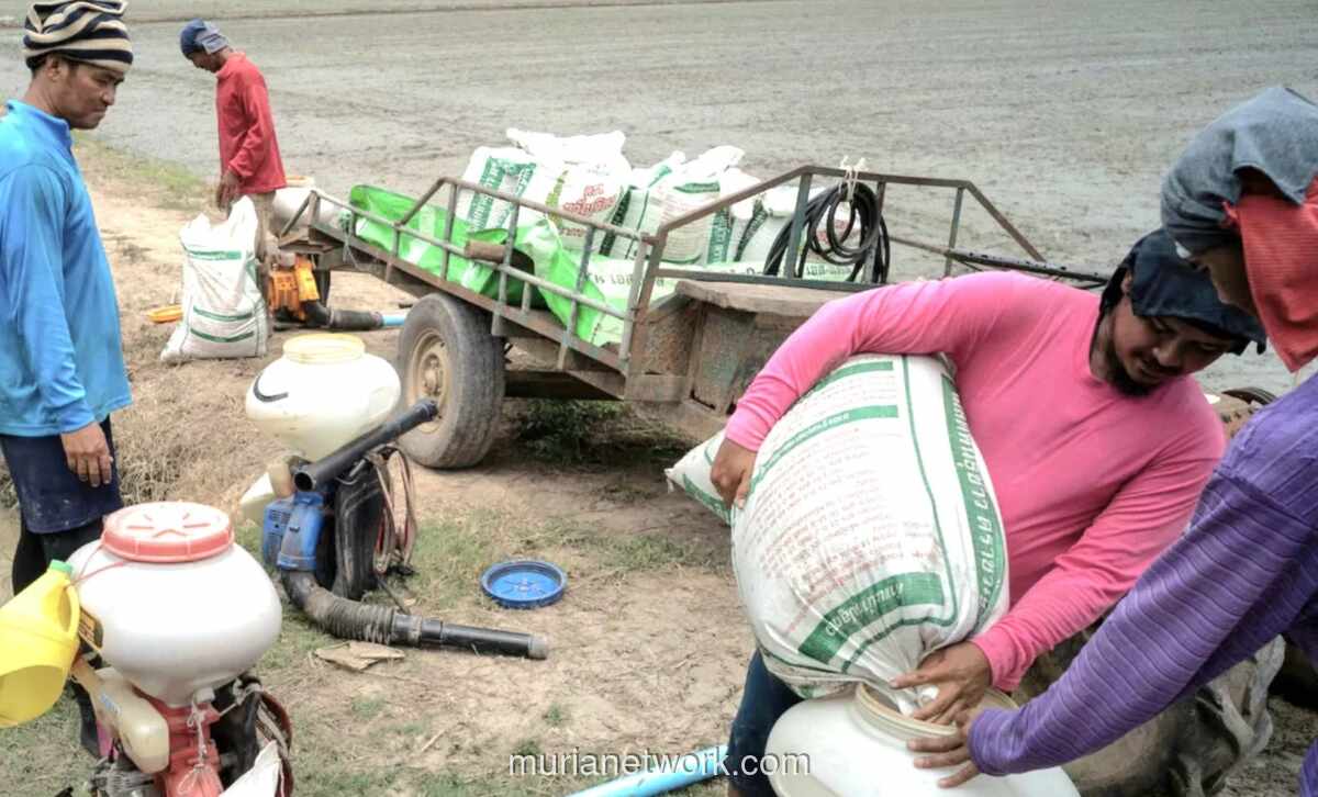 Krisis Utang Petani Thailand Jadi Ujian Perdana Pemerintahan Anutin
