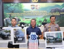Polda Riau Bongkar Pencucian Uang dari Perdagangan Gading Gajah, Dua Tersangka Dibekuk