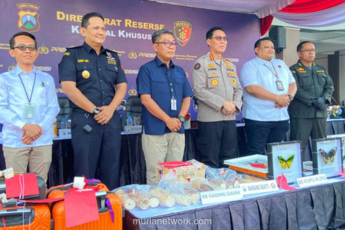Polda Jatim Bongkar Tiga Kasus Penyelundupan, Sita Gading Gajah hingga Puluhan Ribu Benih Lobster