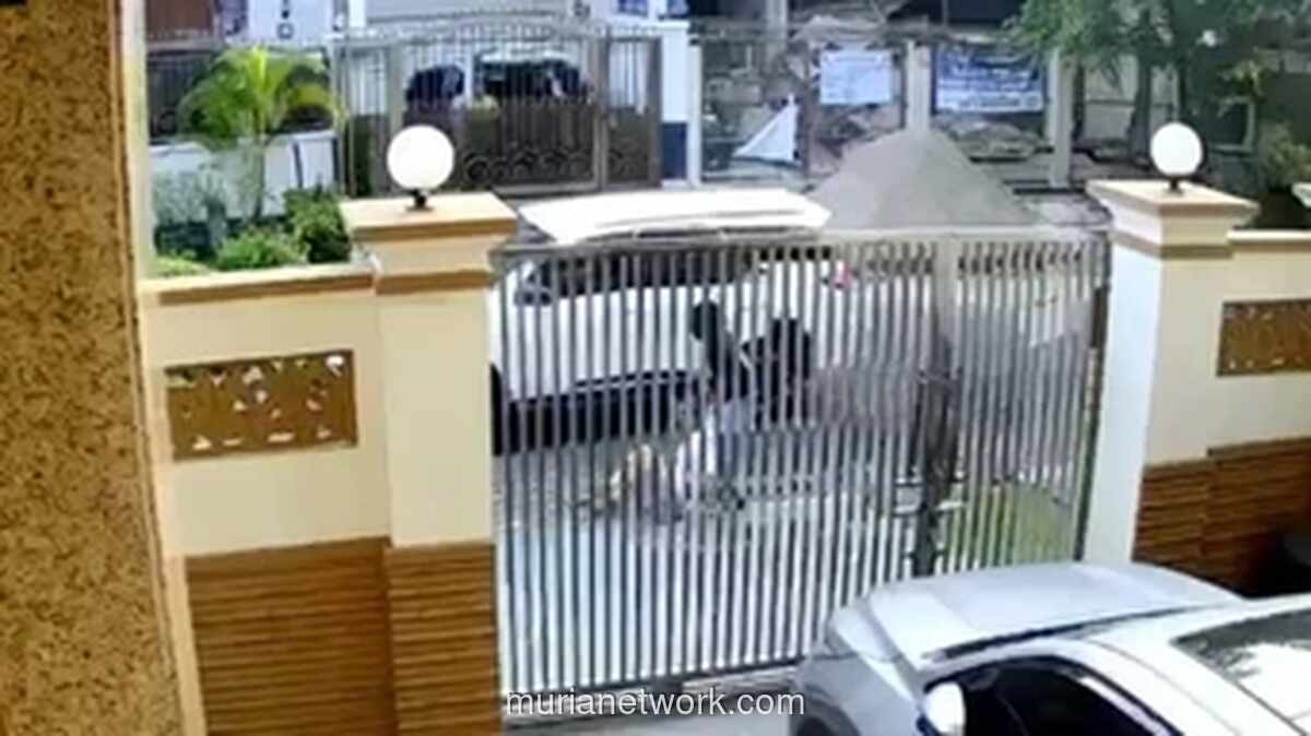 Pria Lansia di PIK Nyaris Diculik Saat Olahraga Pagi, Polisi Identifikasi Dua Pelaku