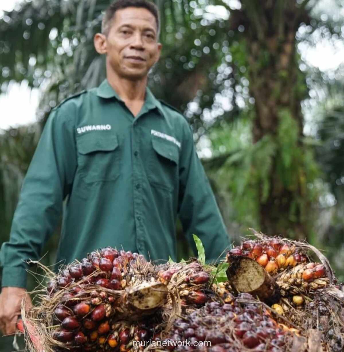 POPSI Kritik PP Nomor 24 Tahun 2026, Nilai Aturan Ekspor Sawit Berpotensi Tak Transparan dan Rugikan Petani