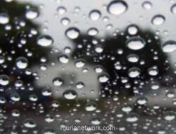 BMKG: Hujan Ringan Guyur Sebagian Jakarta dan Kota Penyangga, Kabupaten Bogor Waspada Hujan Sedang