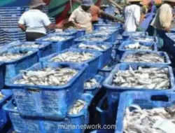 Produk Olahan Ikan Indonesia Berpeluang Tembus Pasar Arab Saudi, Potensi Transaksi Rp17,8 Miliar