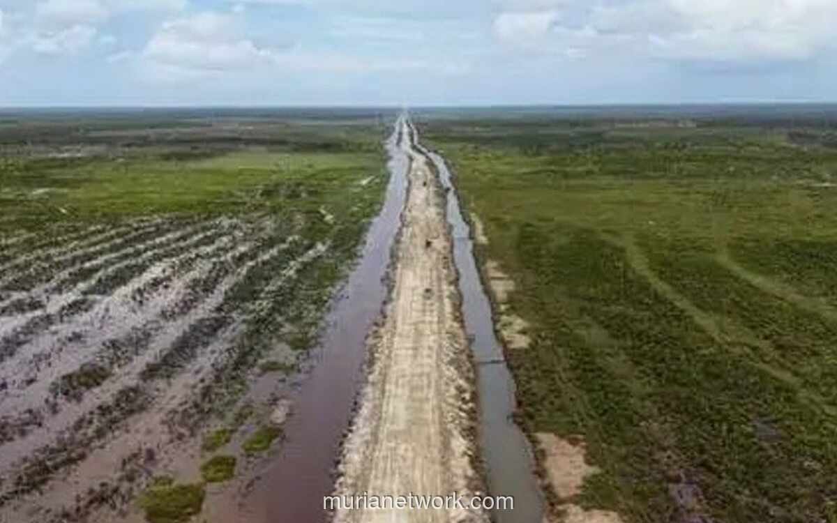 Pemerintah Papua Selatan Yakin PSN Wanam Dorong Ekonomi dan Serap Ribuan Tenaga Kerja Lokal