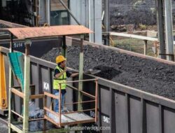 Pemegang Saham Bukit Asam Setujui Dividen Rp1,32 Triliun, Setara Rp114 per Lembar