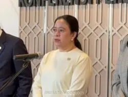 Puan Maharani: Safari Politik Jokowi Itu Hak Semua Warga Negara