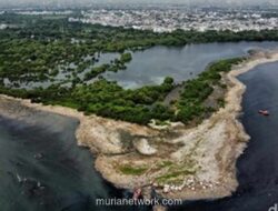 Pembersihan Pulau Sampah Muara Angke Hampir Tuntas, Target Rampung Sabtu Sore