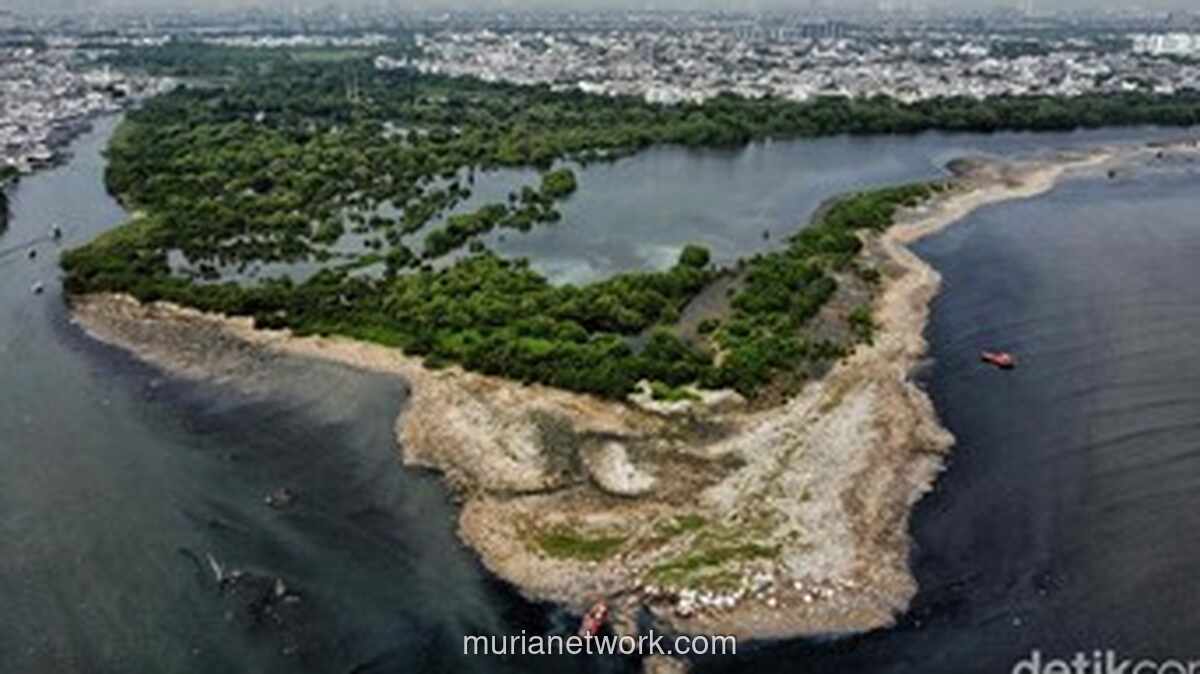 Pembersihan Pulau Sampah Muara Angke Hampir Tuntas, Target Rampung Sabtu Sore