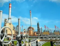 Dana Kekayaan Negara dan Bank Sentral Global Mulai Beralih ke Energi, Tekan Dolar AS