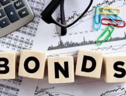 Pemerintah Tunda Penerbitan Panda Bond ke Akhir Juli 2026, Gunakan Skema LCT