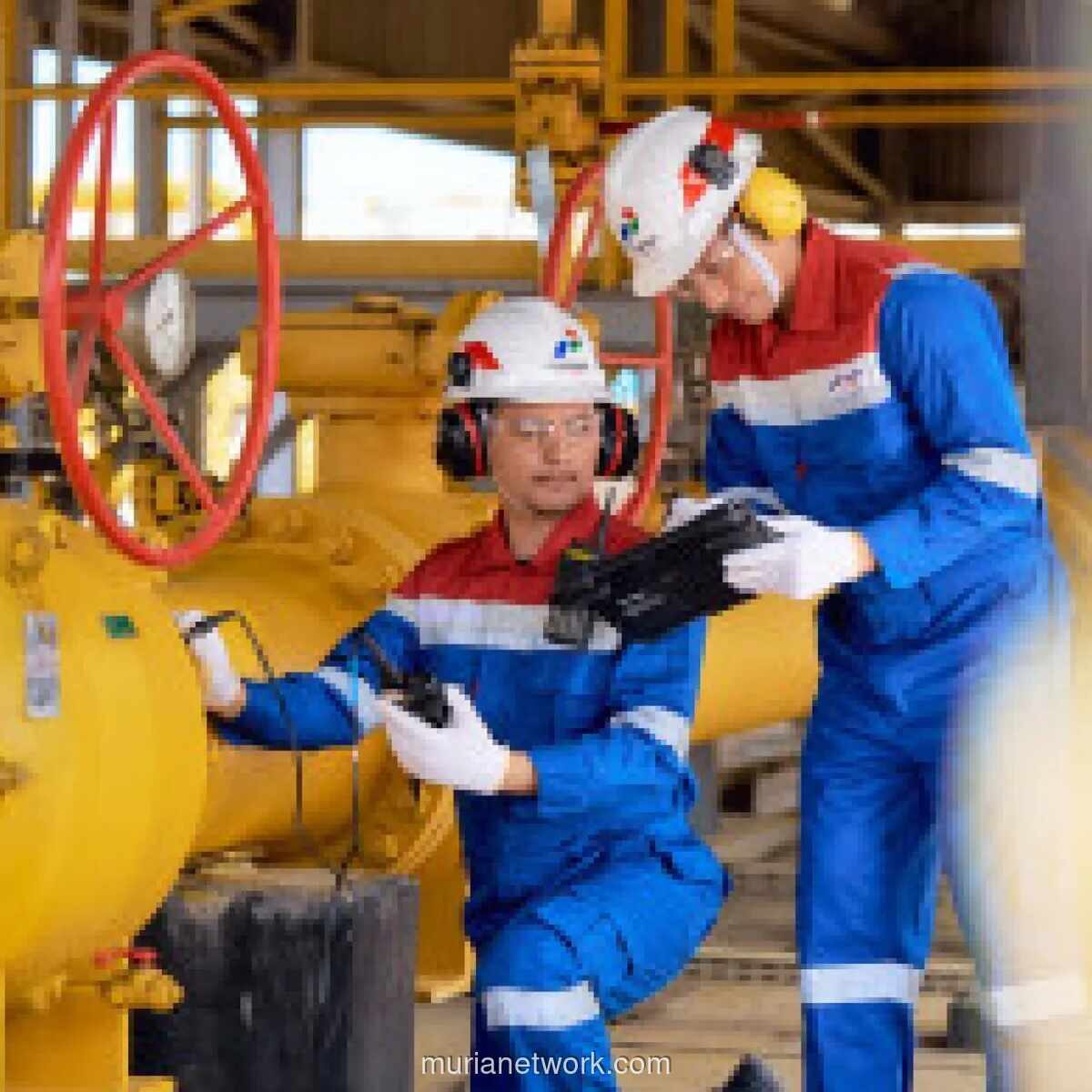 Subsidi Silang Fiskal dan Agregator Gas Nasional Jadi Solusi Tekan Harga Gas Industri