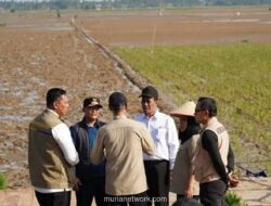 Pemerintah Alokasikan Rp1 Triliun untuk Pemulihan Lahan Pertanian Pascabencana di Aceh, Sumut, dan Sumbar