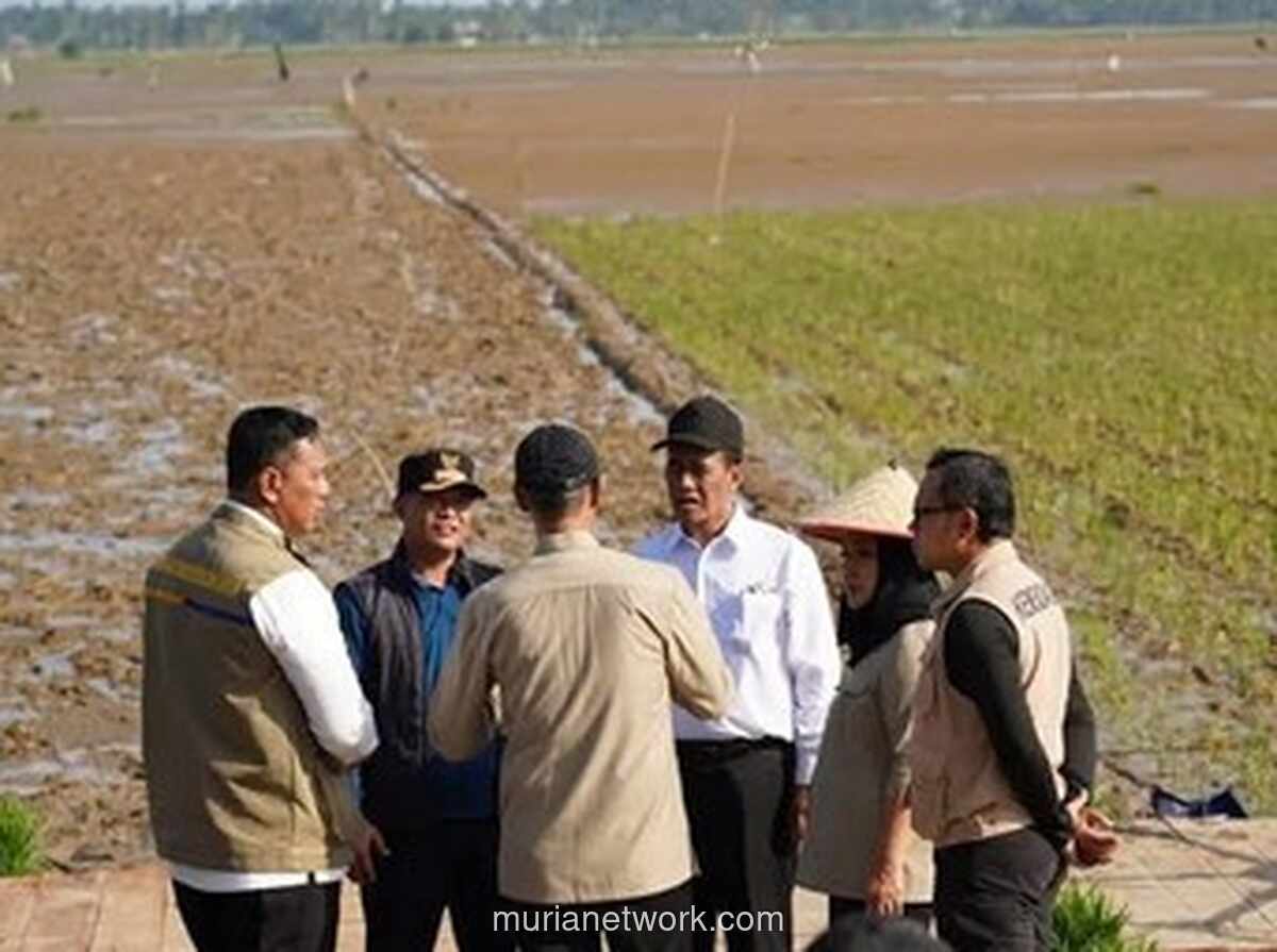 Pemerintah Alokasikan Rp1 Triliun untuk Pemulihan Lahan Pertanian Pascabencana di Aceh, Sumut, dan Sumbar