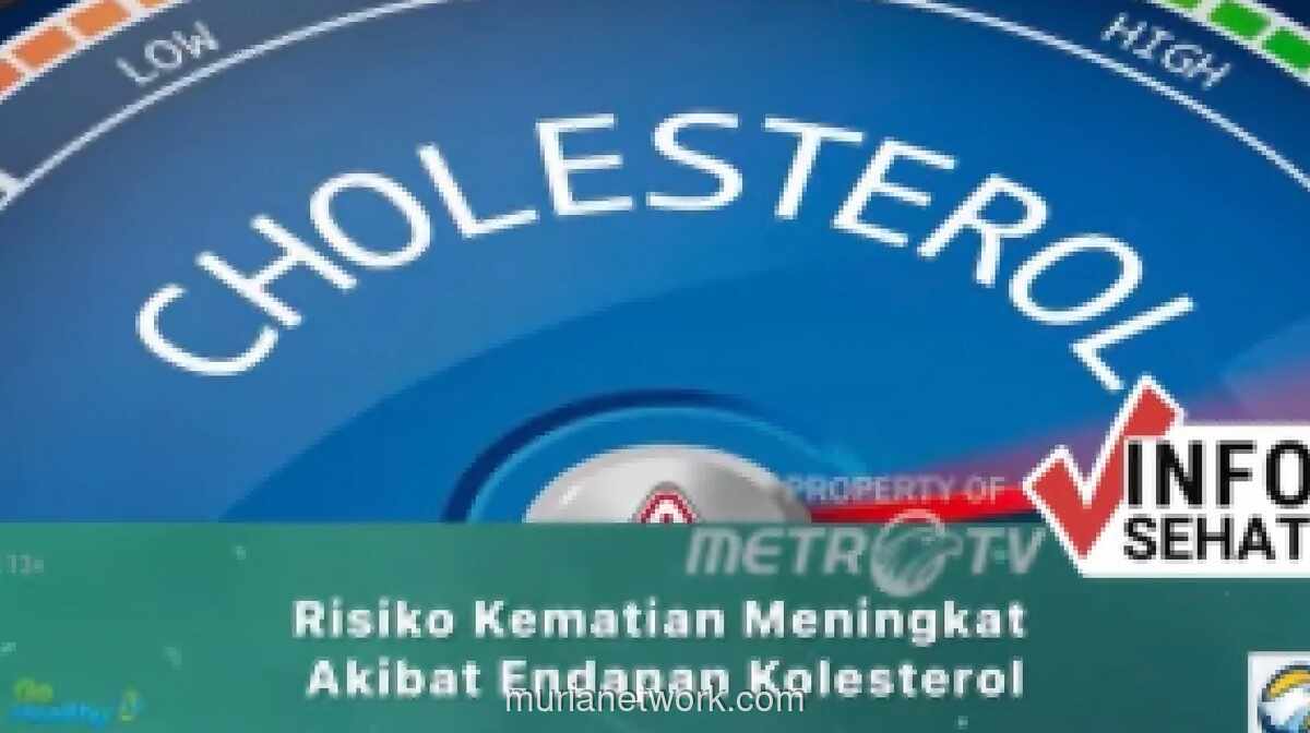 Perempuan 61 Tahun Klaim Kolesterol dan Tekanan Darah Stabil Usai Gunakan Alat Laser Akupunktur