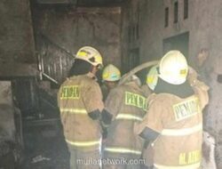 Kebakaran Landa Rumah Kosong di Cilandak, 15 Damkar Dikerahkan
