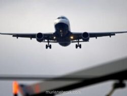Pelemahan Rupiah Tekan Industri Penerbangan, Maskapai Tutup Sejumlah Rute Domestik