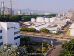 Saham Chandra Asri (TPIA) Melonjak 13 Persen di Tengah IHSG Merah, Dipicu Technical Rebound dan Aksi Divestasi SCG Chemicals