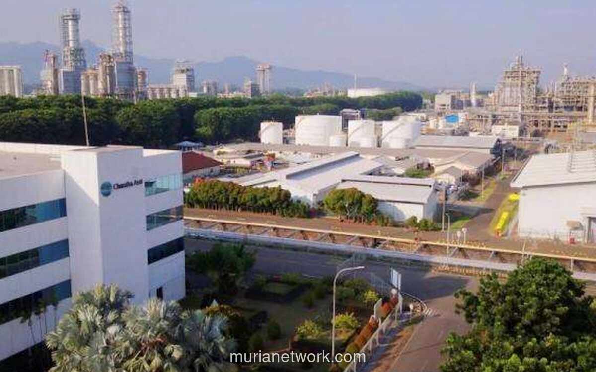 Saham Chandra Asri (TPIA) Melonjak 13 Persen di Tengah IHSG Merah, Dipicu Technical Rebound dan Aksi Divestasi SCG Chemicals