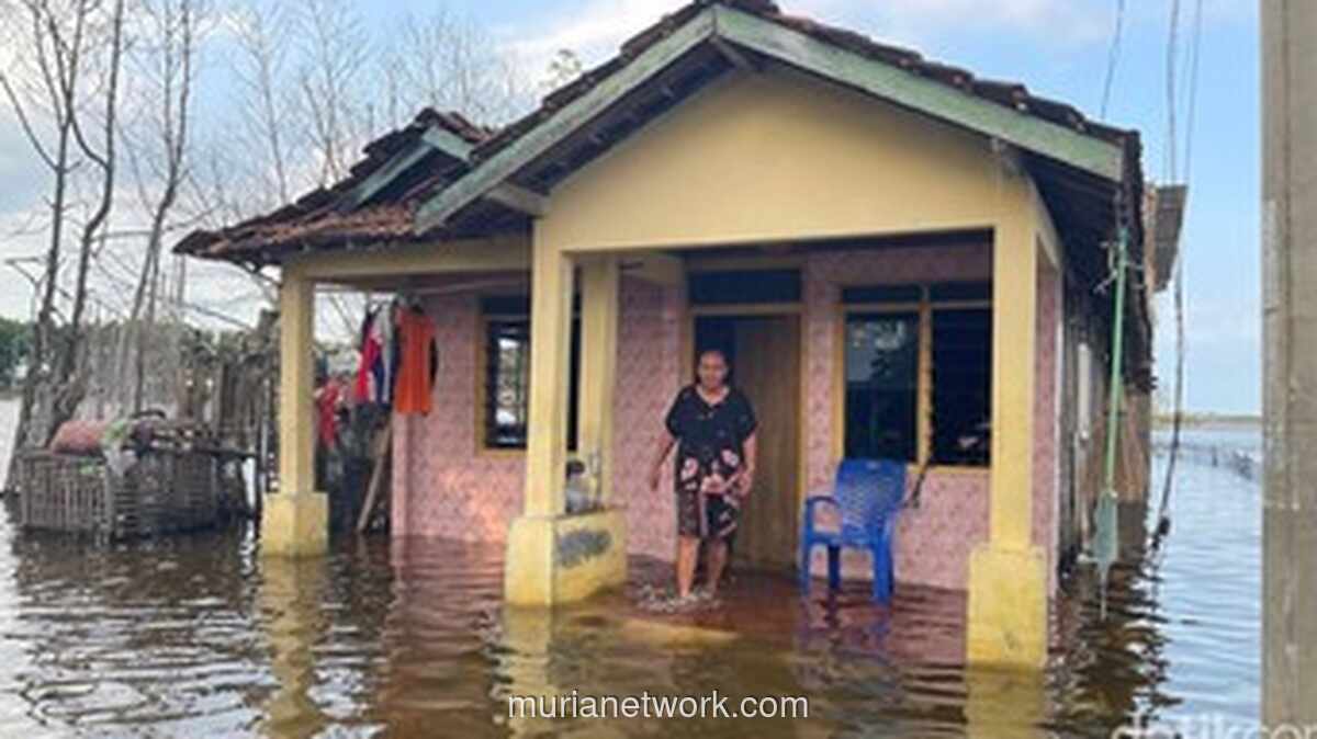 Banjir Rob di Pati Sebulan Tak Kunjung Surut, Warga Keluhkan Gatal-Gatal dan Kelelahan
