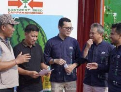 Petani Lampung Tengah Sukses Kembangkan Semangka Unggul Berkat Inovasi Benih dan Pendampingan Teknis