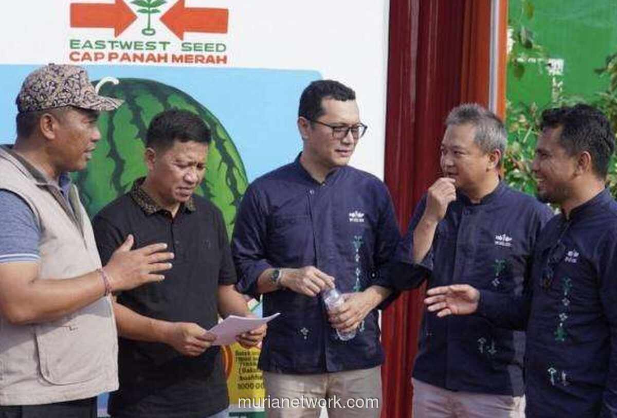 Petani Lampung Tengah Sukses Kembangkan Semangka Unggul Berkat Inovasi Benih dan Pendampingan Teknis