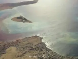 IMO Tangguhkan Evakuasi 11.000 Pelaut di Selat Hormuz Usai Serangan di Teluk Oman