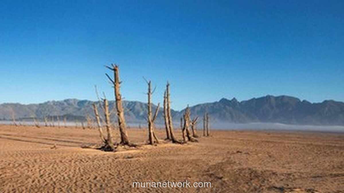 Hari Dunia Memerangi Penggurunan 2026 Soroti Krisis Padang Rumput dan Seruan Restorasi Global