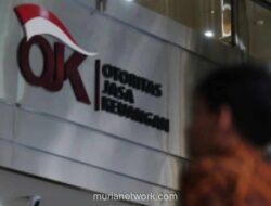 Cara Cek Skor Kredit via iDebKU OJK, Tak Perlu Antre Cukup Online