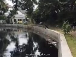 Situ Bahar Cilodong Tercemar Limbah Hitam, DLHK Depok Koordinasi dengan Bogor Usut Perusahaan