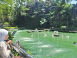 Ragunan Gratis 22 Juni hingga 28 Juni 2026 dalam Rangka HUT ke-499 Jakarta