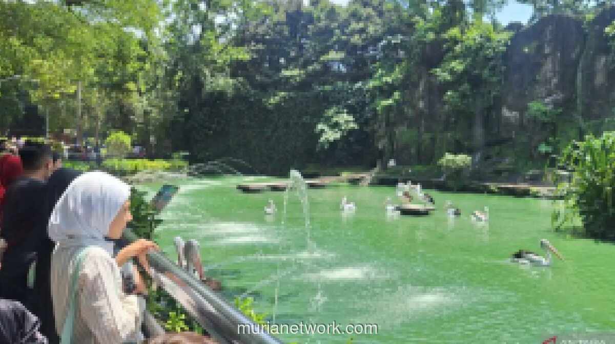 Ragunan Gratis 22 Juni hingga 28 Juni 2026 dalam Rangka HUT ke-499 Jakarta