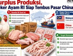 Pemerintah Jajaki Ekspor Ceker Ayam ke China Manfaatkan Surplus Produksi Nasional