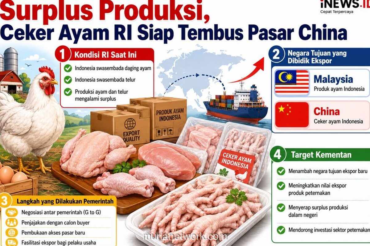 Pemerintah Jajaki Ekspor Ceker Ayam ke China Manfaatkan Surplus Produksi Nasional