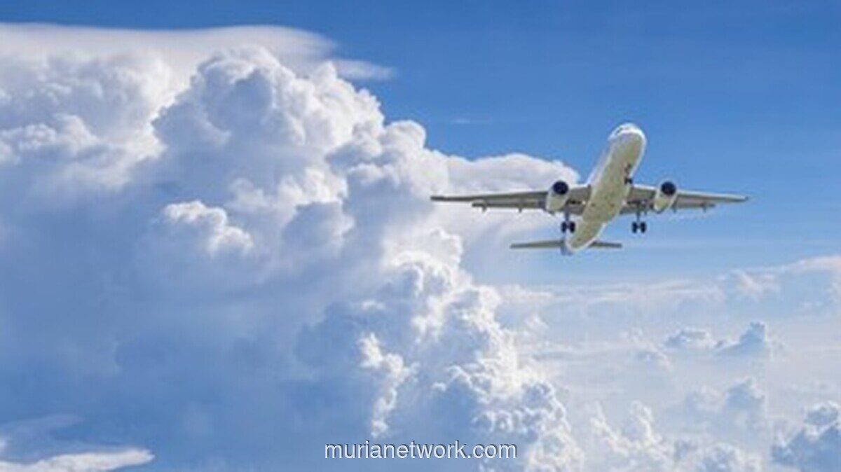 Pesawat JetBlue Tabrak Drone Saat Mendekati Bandara JFK