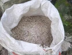 Pedagang Nasi Kuning di Sampit Tertipu Beras Campur Pasir, Rugi Ratusan Ribu Rupiah
