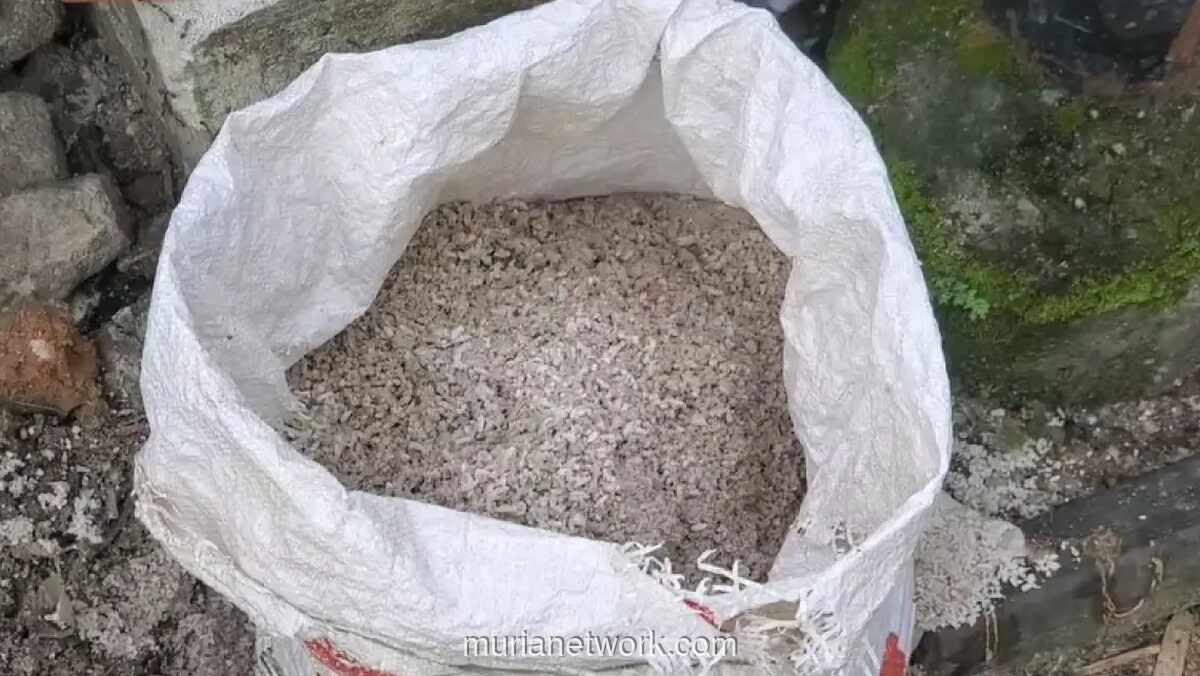 Pedagang Nasi Kuning di Sampit Tertipu Beras Campur Pasir, Rugi Ratusan Ribu Rupiah