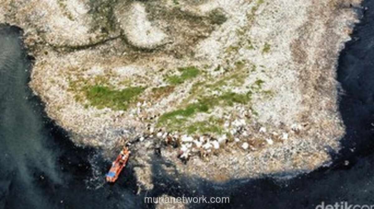 “Pulau Sampah” Muncul di Muara Angke, 8,8 Ton Sampah Berhasil Diangkut dalam Empat Hari